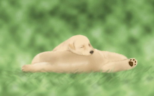 467818 (a): :1920x1200